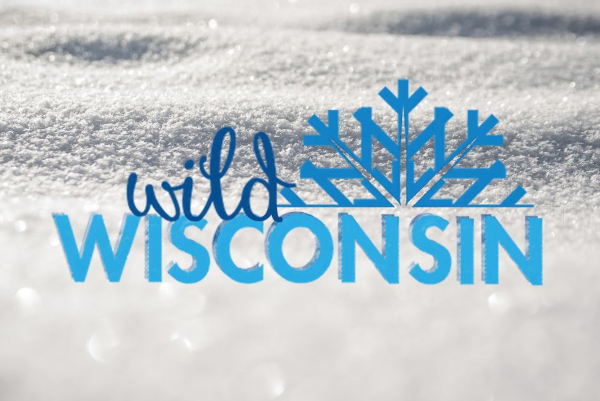 Snowy surface with 'Wild Wisconsin' text and a stylized blue snowflake.